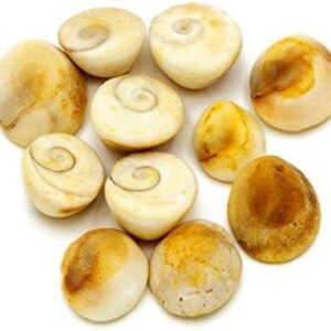 Gomathi Sakram – S-12