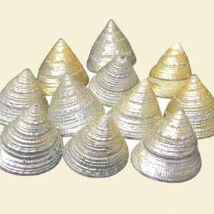 Lakshmi Sobi – Brown(Small 12 Pieces)